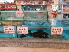 -花好悦园(瀛洲店)