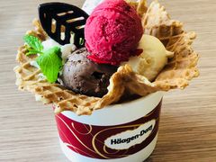 -哈根达斯(石家庄北国店)