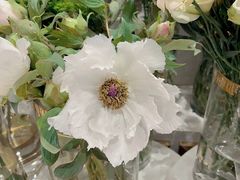 -花邻FloweringLife花艺气球派对(武康大楼店)