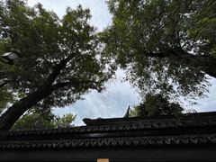 -枫桥景区