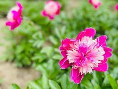 -江南大学(蠡湖校区)