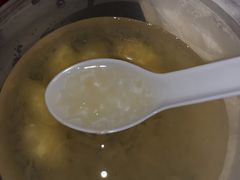 -大中鱼翅 Taitong Shark Fin