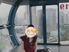 -新加坡摩天观景轮