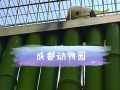 -成都动物园