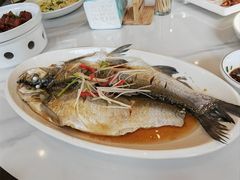 清蒸白水鱼-状元楼(金溪路店)