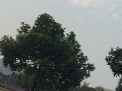 -杭州城北体育公园