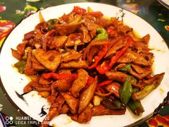 -东北王食府(科大店)