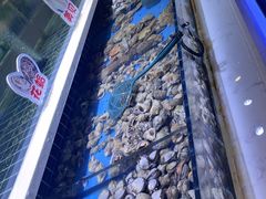 -聚盛源蒸汽海鲜火锅烤肉自助(巨川金海岸购物广场店)