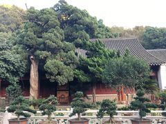-普陀山风景名胜区-法雨禅寺