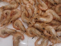 -良友·海鲜青岛菜·海肠捞饭(五四广场店)
