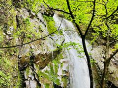 -藏龙百瀑风景区