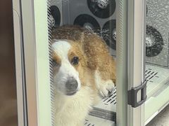 -FAELING PETS美天灵宠物(富力广场店)