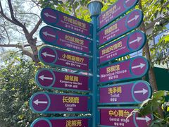 -灵玲国际马戏城