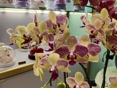 -EPOQUE·一刻花店(兴业太古汇店)