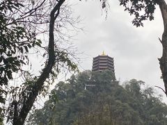 -青城山