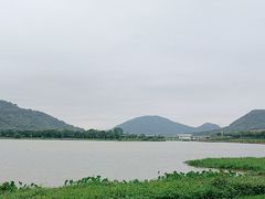 -风云岭森林公园