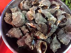 -北戴河东海水浴场