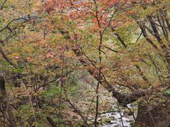 -三块石国家森林公园