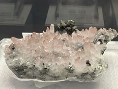 -湖南省地质博物馆