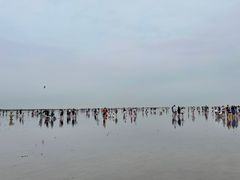 -南汇新城海滩