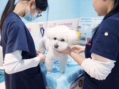 -哆趣宠物医院·眼科·内镜·急重症转诊中心(上海店)