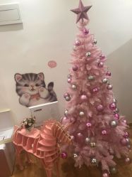 -Lab Season惜辰颜究社