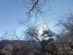 -香山公园