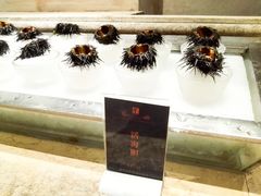 北海道海胆-雍和会海鲜姿造自助(湖东路店)