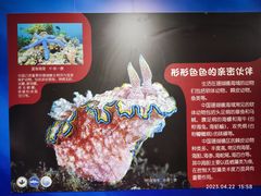 -中国地质博物馆