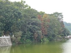 -番禺大夫山森林公园