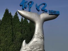 -仰口沙滩
