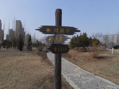 景点-前关湿地公园