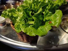 -入火韩国烤肉(凯旋广场店)