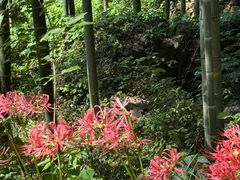 -天目湖御水温泉·度假酒店