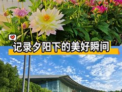 -上海科技馆(地铁站)