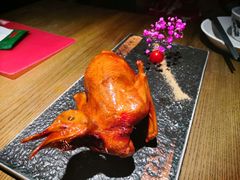 -大鸽饭(岗顶店)