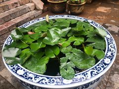 -石屏会馆