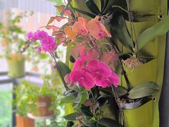 -宋小谨·泉州菜(西沙湾店)