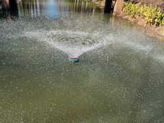 -合肥滨湖国家森林公园