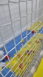 -莫比悠悠家庭乐园(星悦广场店)