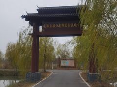 -池杉湖湿地公园