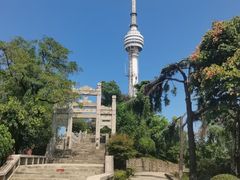 -龟山风景区-龟山电视塔