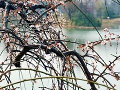 -尚贤河湿地