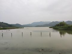 -鸣鹤古镇