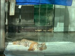 -大连森林动物园