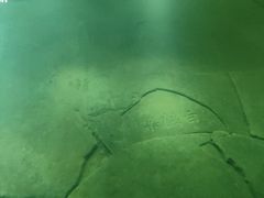 -白鹤梁水下博物馆