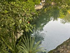 -南京珍珠泉风景区