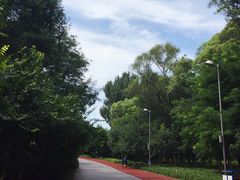 -觅唐MITONG(鸟巢店)