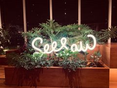 -Seesaw Coffee(朝阳大悦城店)