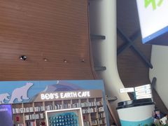 -抱抱地球咖啡馆(国家海洋博物馆店)